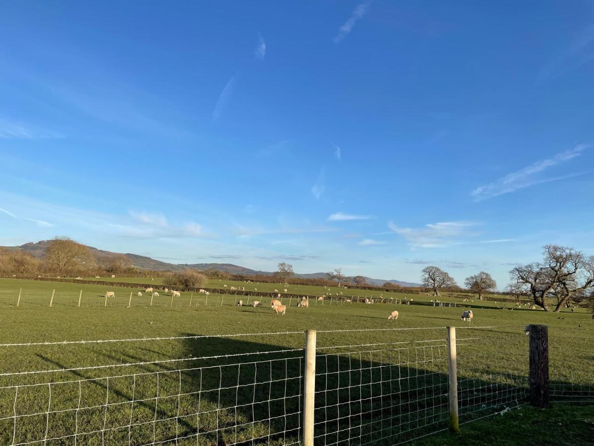 Abbey Farm Luxury Glamping Hotel Rhuddlan Kültér fotó
